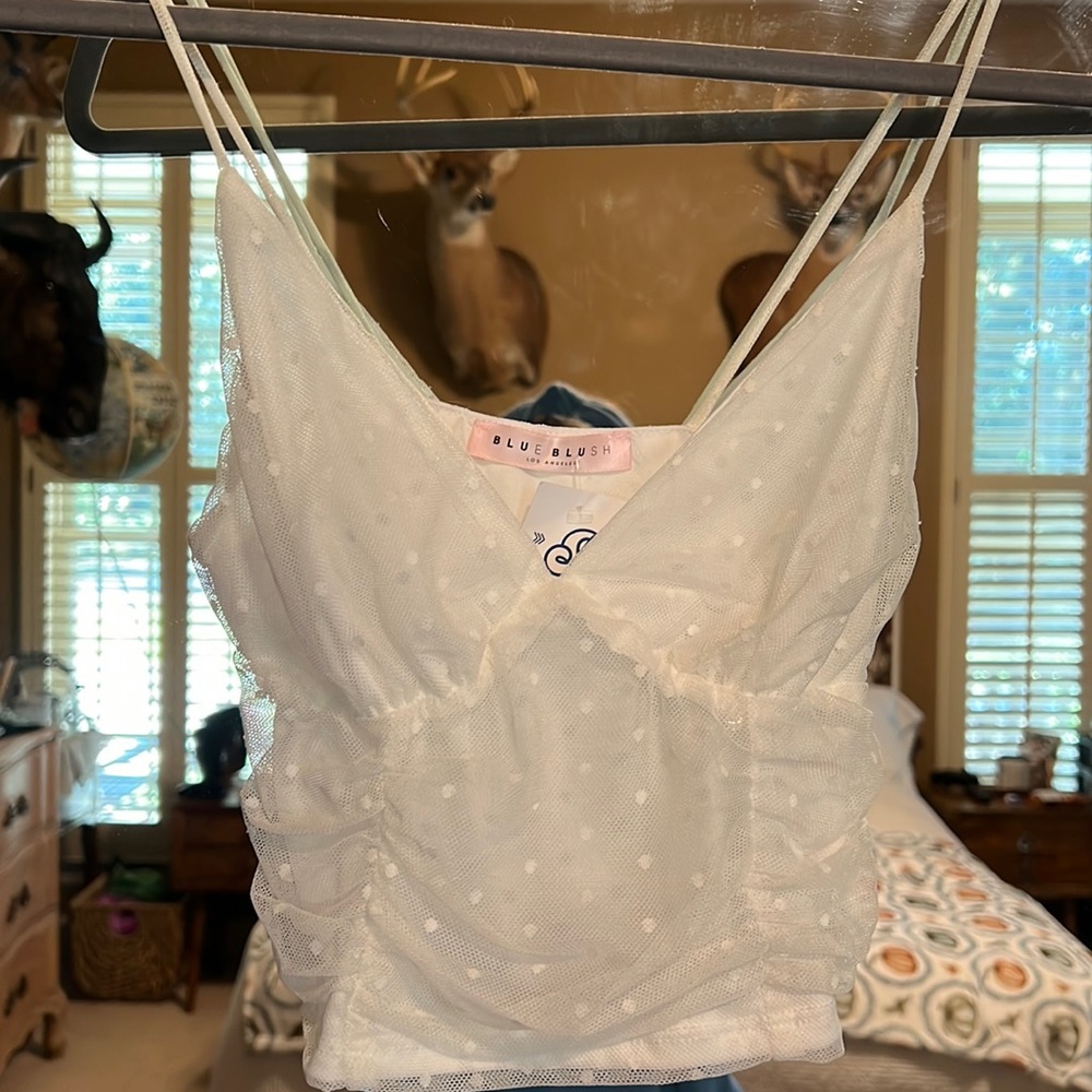 Sheer Mesh Cropped Tank